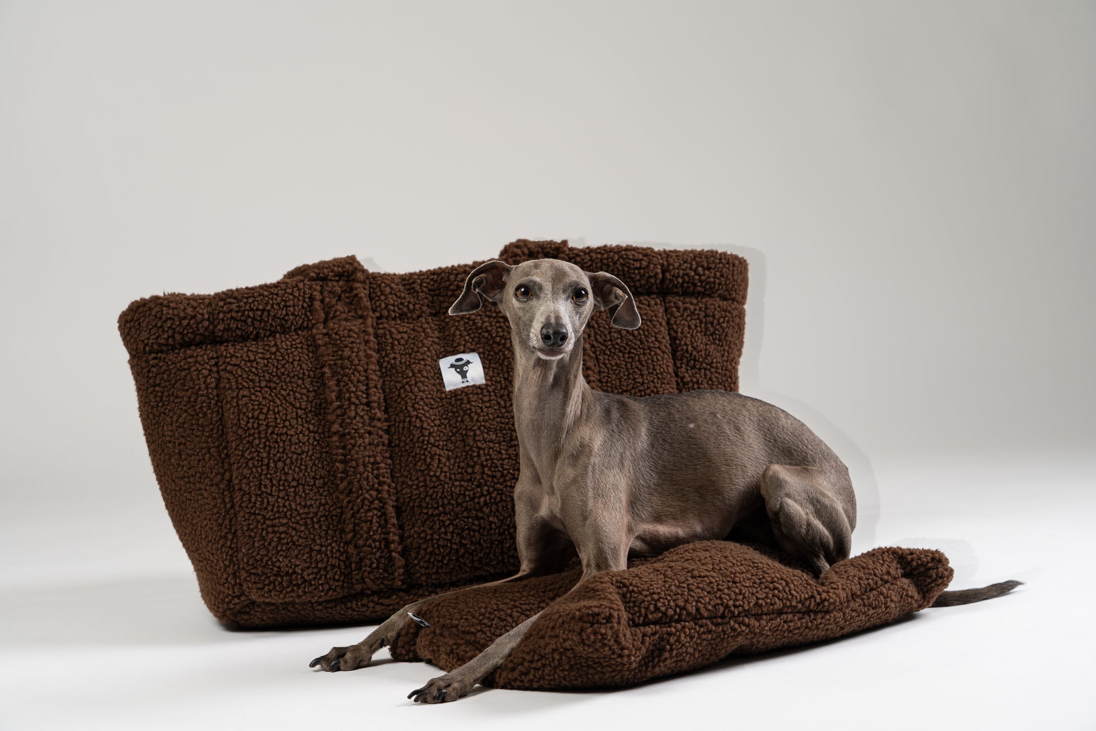 Italienisches Windspiel ruht im braunen Teddy Shopper von Karma Hund – perfektes Hundebett für Restaurant, Café oder Reisen.