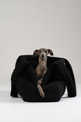 Load image into Gallery viewer, Italienisches Windspiel ruht im schwarzen Teddy Shopper – stilvolles Reisebett von Karma Hund für kleine Hunde.
