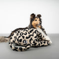 Load image into Gallery viewer, Teddy Shopper Leo Schwarz

