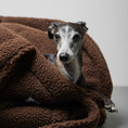 Load image into Gallery viewer, Teddy Shopper BROWN

