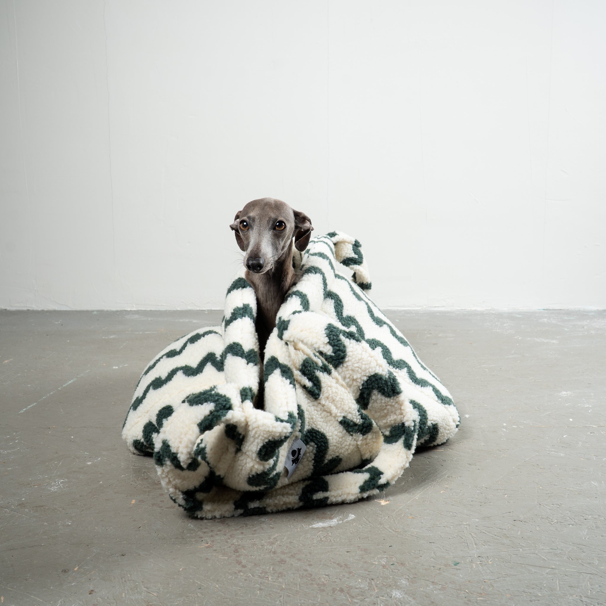 Teddy Shopper Green Waves - Rückzugsort unterwegs für Dackel, Windspiel, Zwergpudel, Zwergspitz, Whippet - Windspiel Tasche