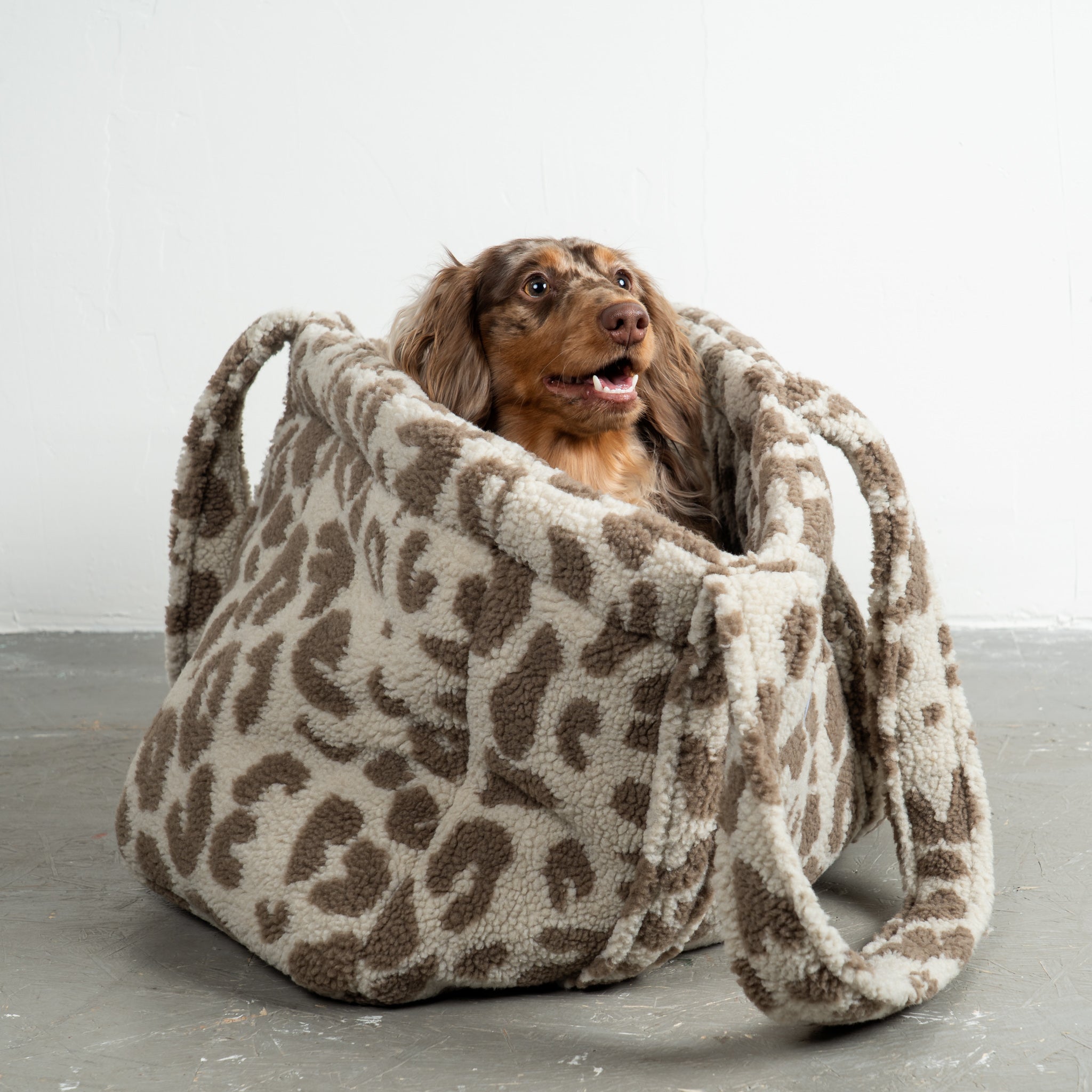 Teddy Shopper Leo Light- Rückzugsort unterwegs für Dackel, Windspiel, Zwergpudel, Zwergspitz, Whippet - Zwergdackel Hundetasche