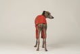 Load image into Gallery viewer, Windspiel-Mode: Terracotta-Fleece-Pullover für Hunde – stilvoll und praktisch zugleich
