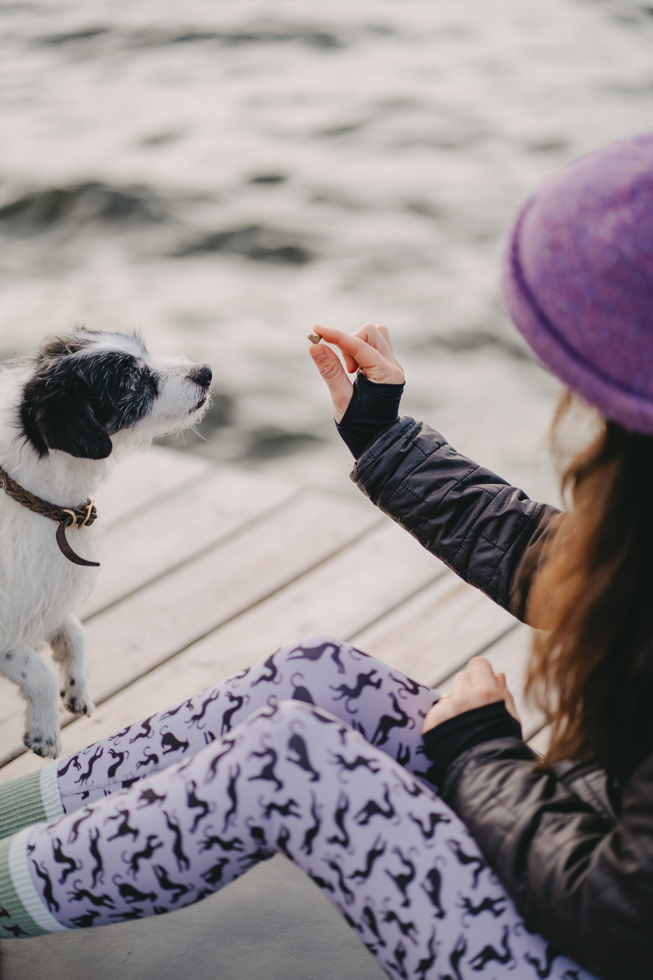 VEGDOG Mobilities Minis