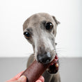 Load image into Gallery viewer, VEGDOG Chevvies SMALL

