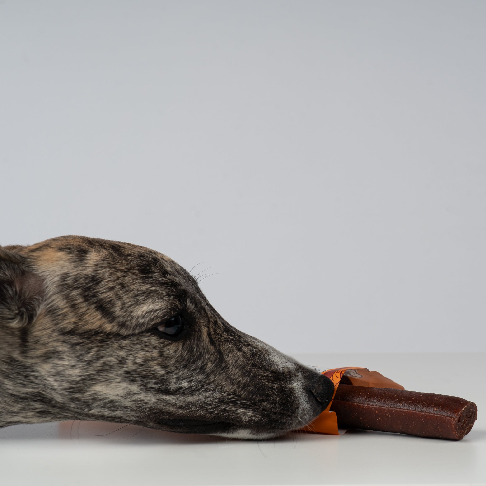 VEGDOG Chevvies XL
