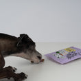 Load image into Gallery viewer, VEGDOG Mobilities Minis
