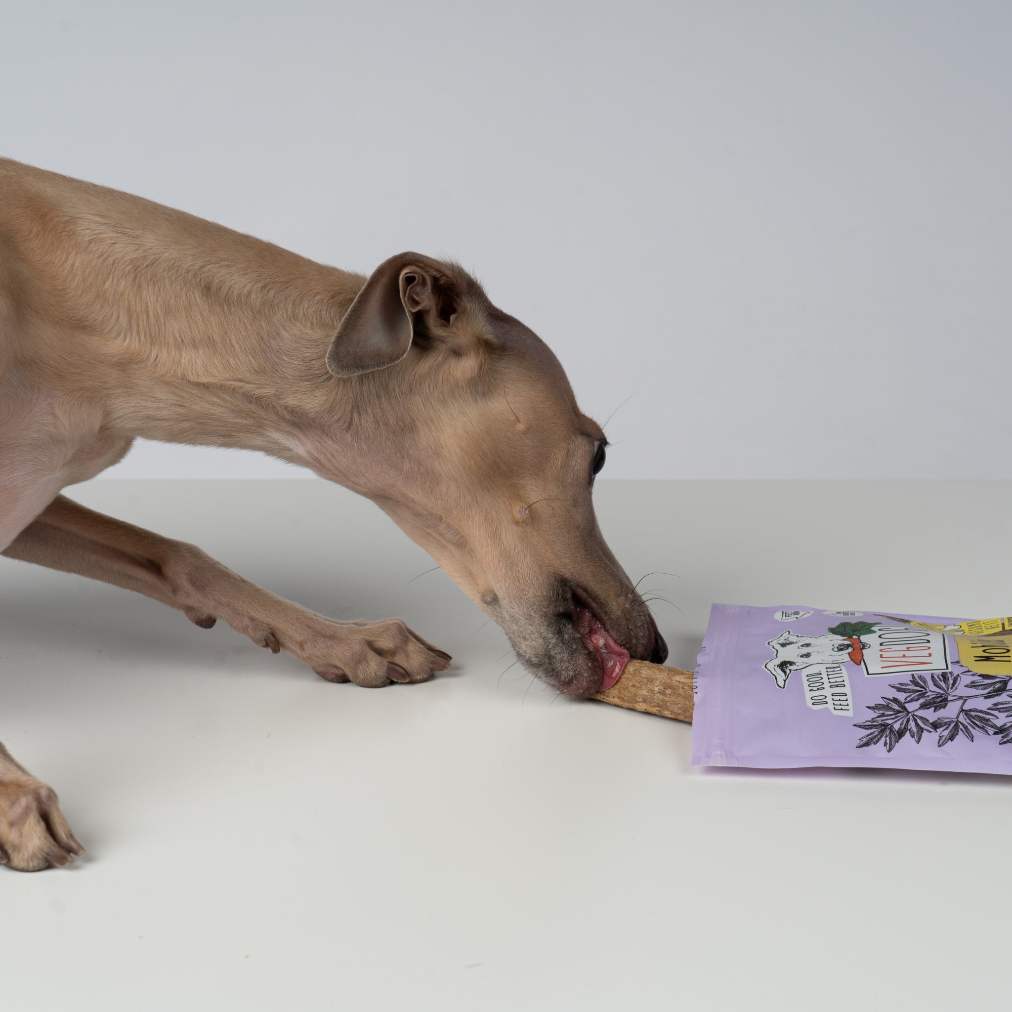 VEGDOG Mobilities