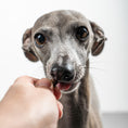 Load image into Gallery viewer, VEGDOG Mini Pures
