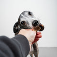 Load image into Gallery viewer, VEGDOG Winter Cookies
