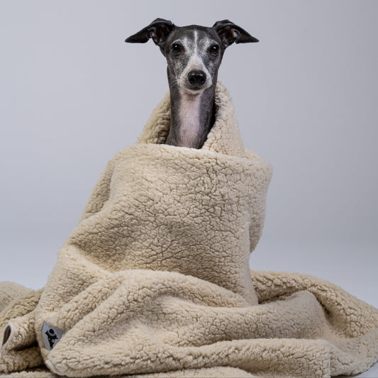 Ein Hund ruht eingekuschelt auf der warmen, dicken Kuscheldecke aus Fleece und Teddy Material.