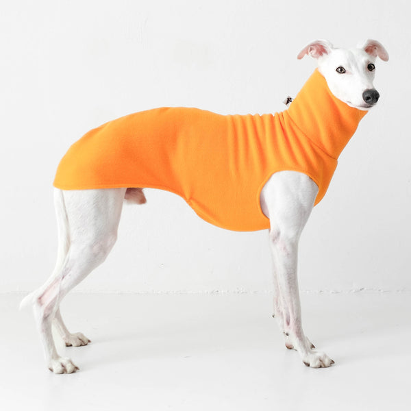 Long Shirt für Whippet