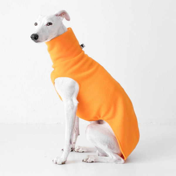 Whippet Pullover