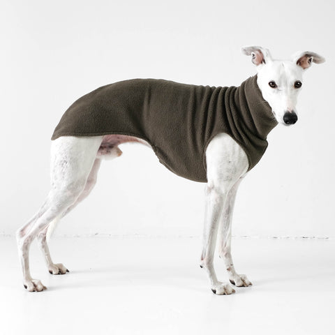 Whippet Pullover Olive