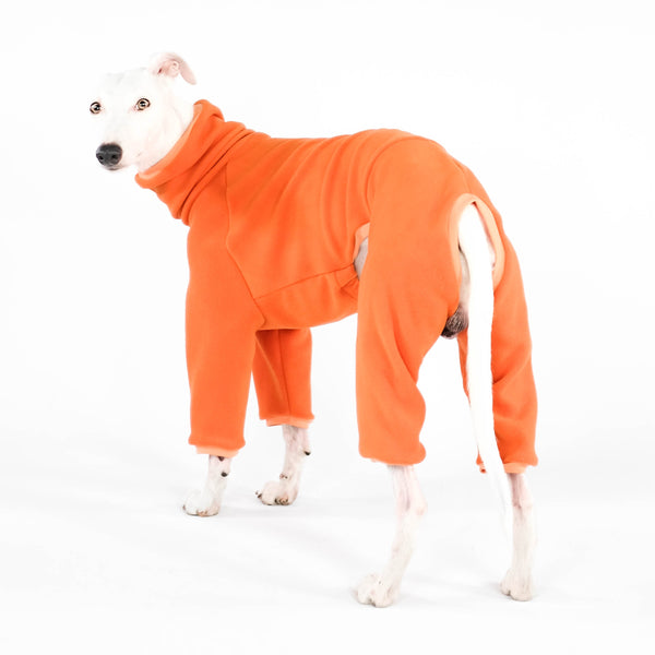 Whippet Clothing