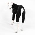 Load image into Gallery viewer, Whippet Bekleidung
