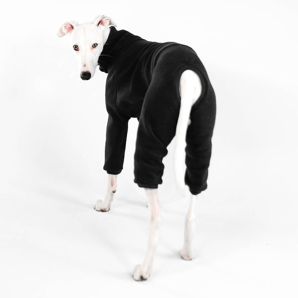 Whippet Bekleidung