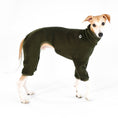 Load image into Gallery viewer, Whippet Fleece Overall Dark Olive
