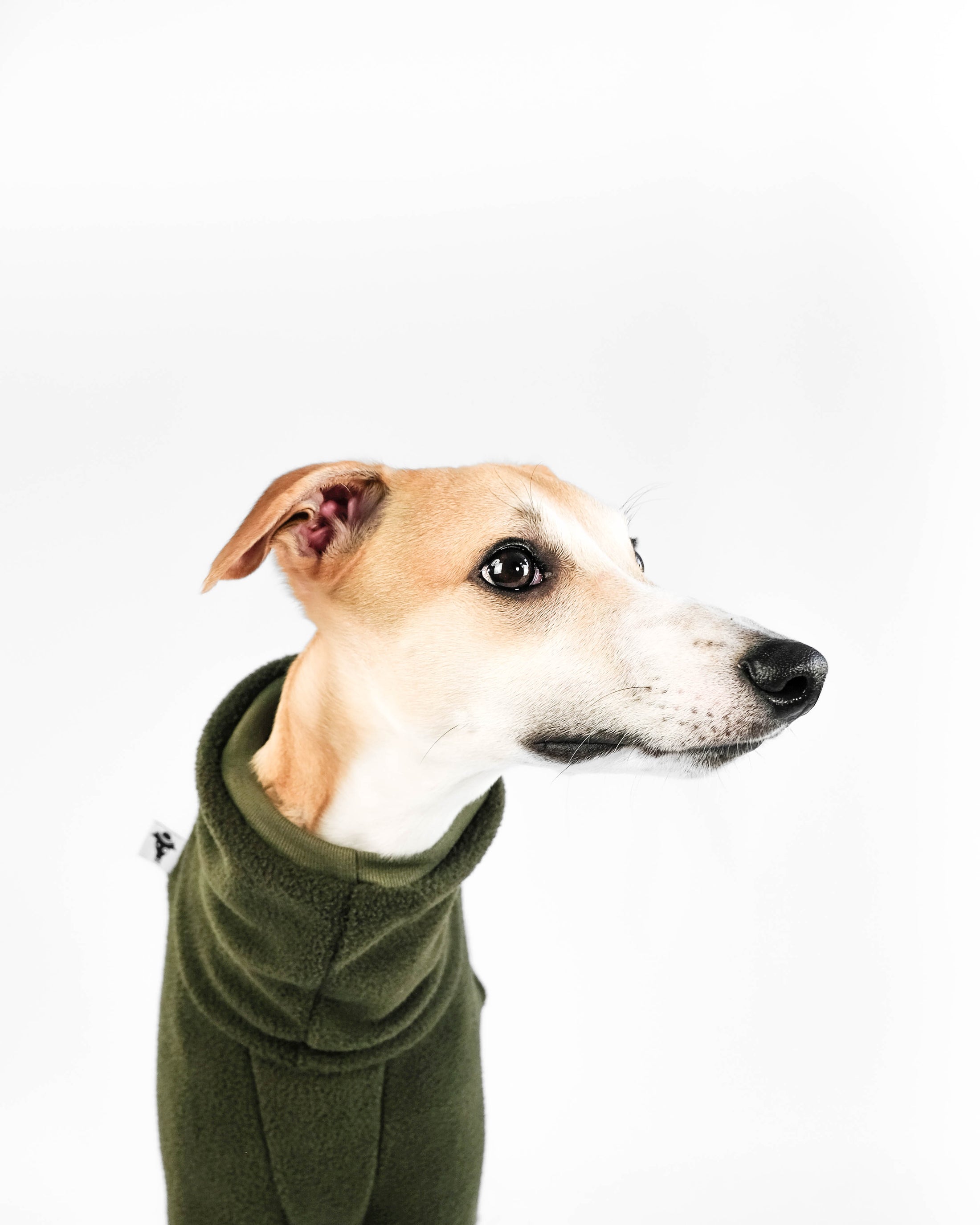 Whippet Overall Dark Olive