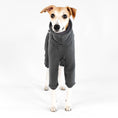 Load image into Gallery viewer, Whippet Fleece Jumpsuit Graphite
