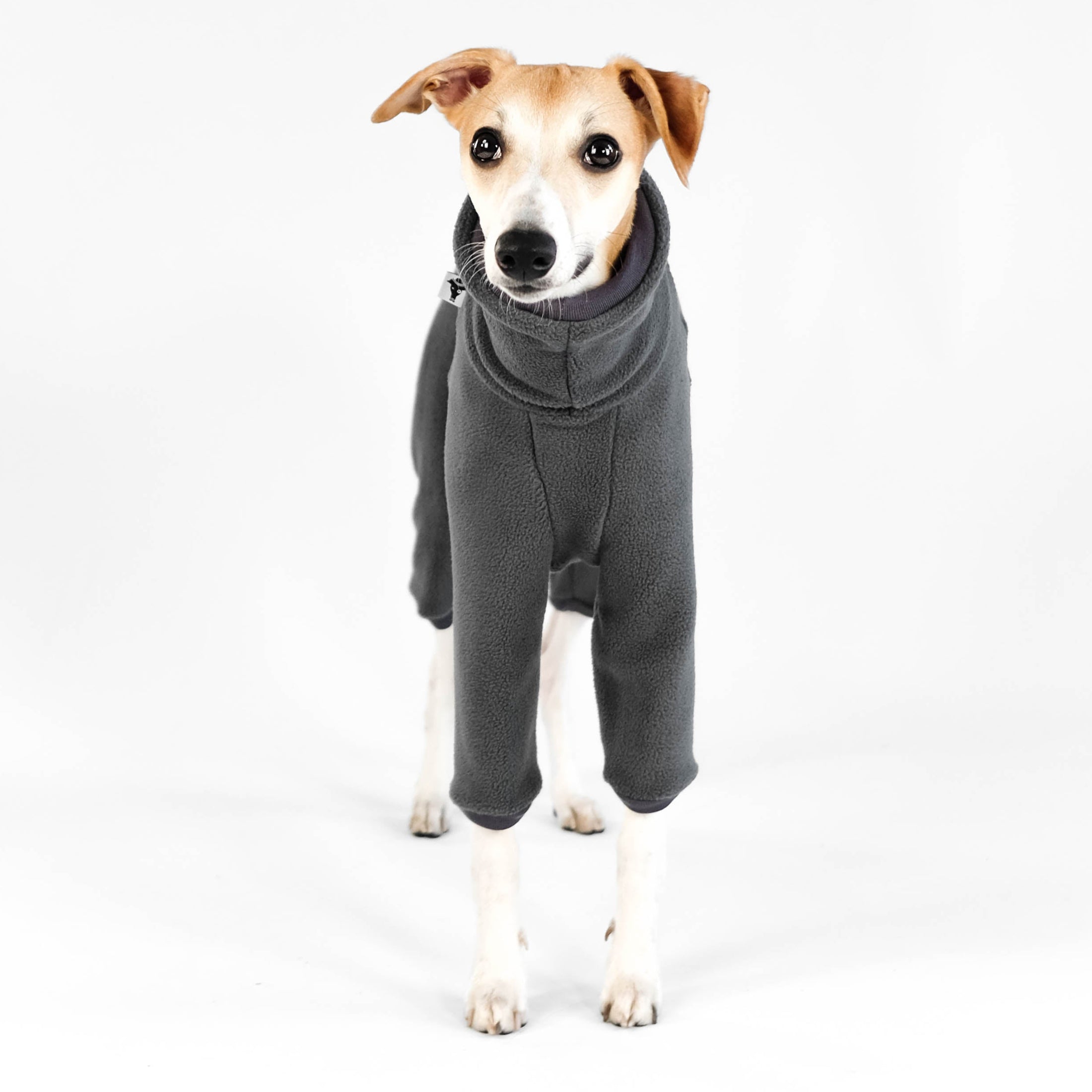 Whippet Fleece Jumpsuit Graphite