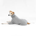 Load image into Gallery viewer, Whippet Fleece Overall Light Grey
