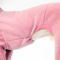Load image into Gallery viewer, Whippet leece Overall Detail
