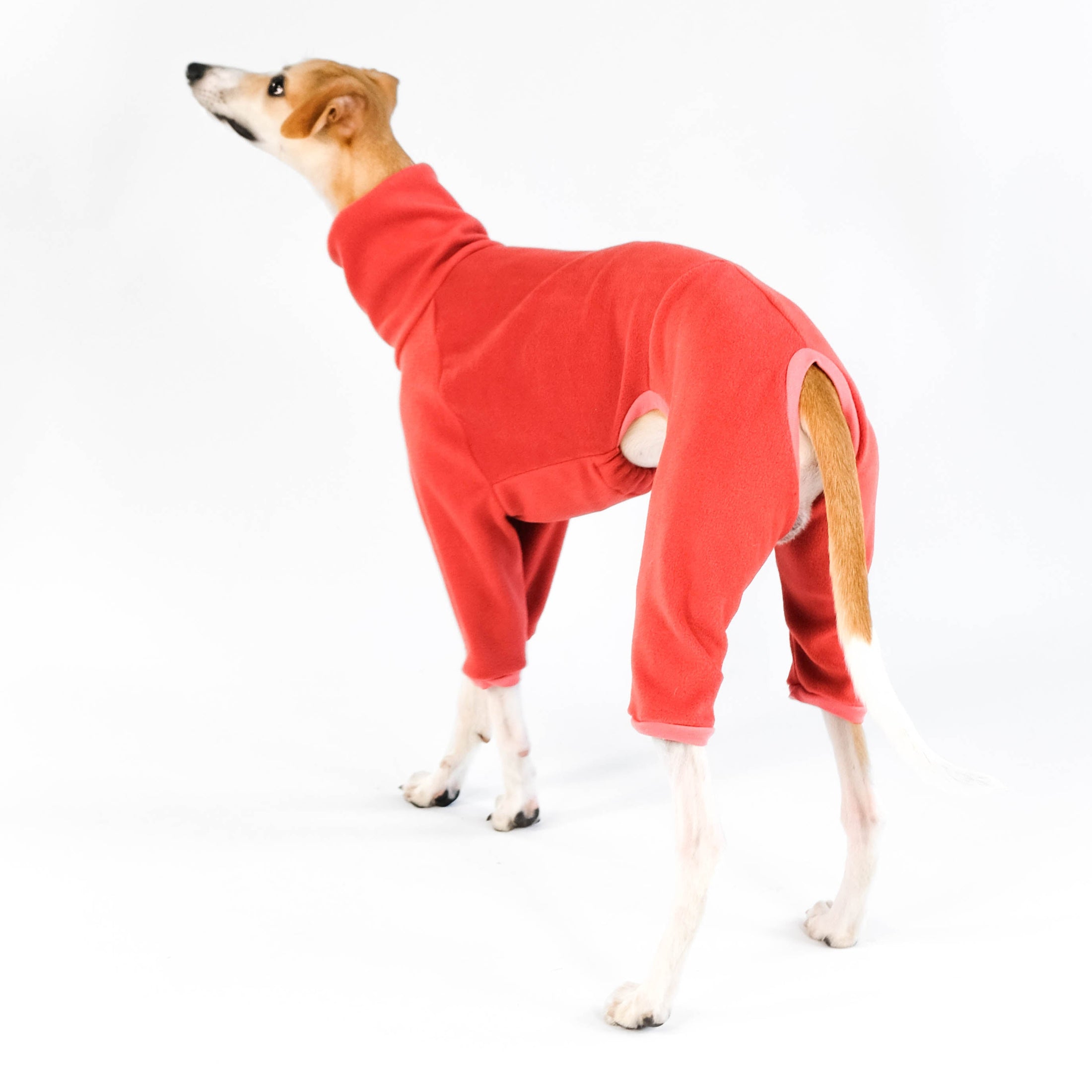 Whippet Overall Terracotta