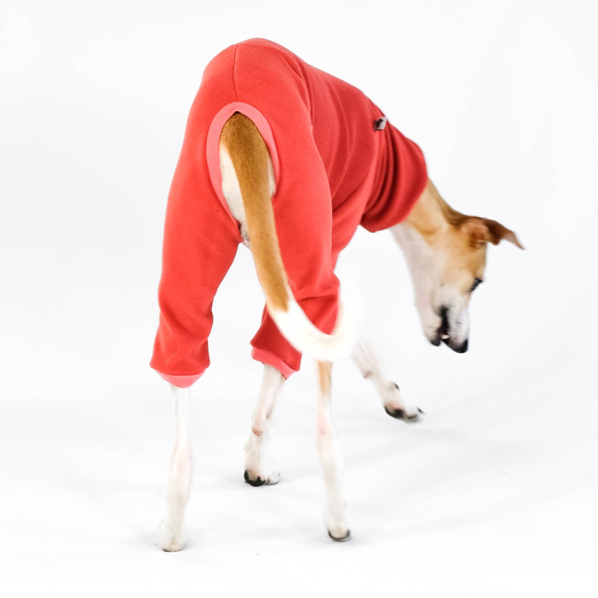 Whippet Fleece Overall Terracotta