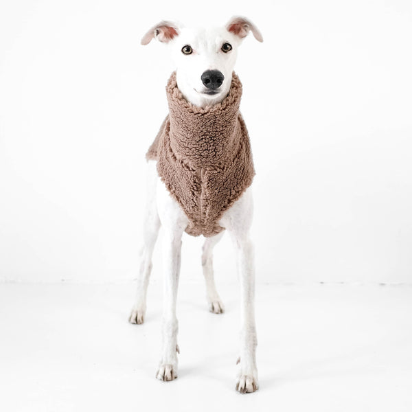 whippet teddy pullover