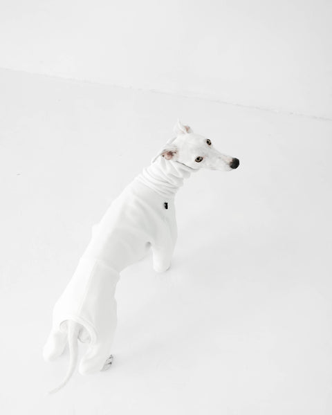 white jumpsuit for whippet