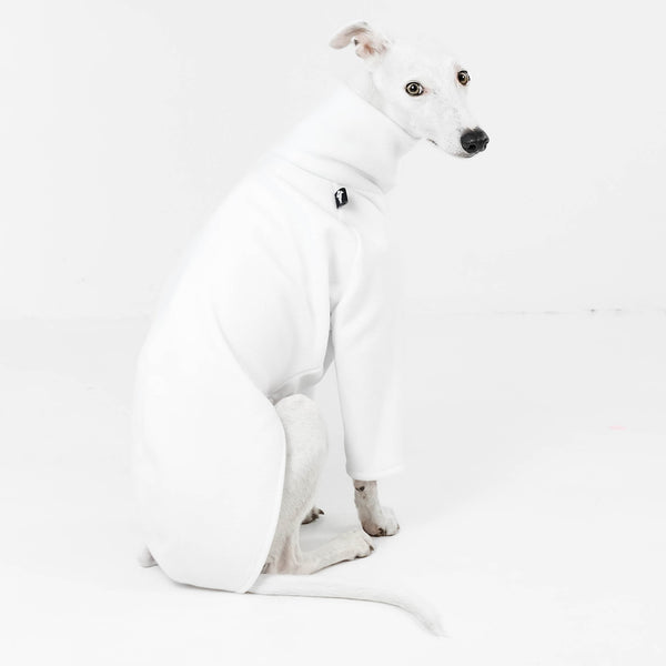 white whippet in all white pullover