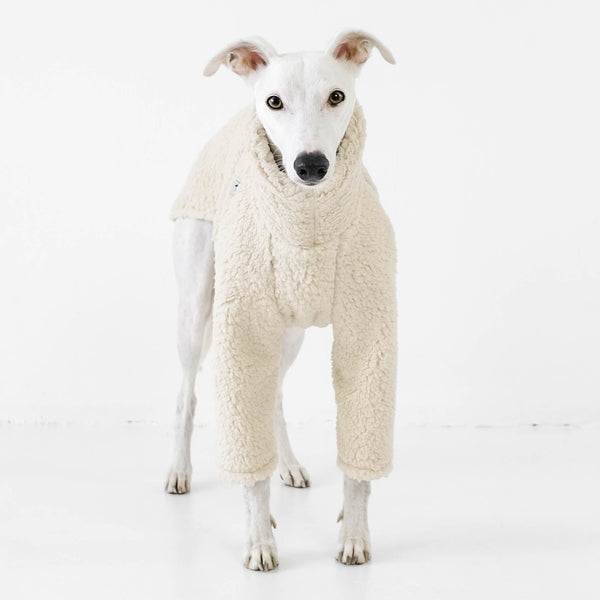 Whippet Teddy Pullover