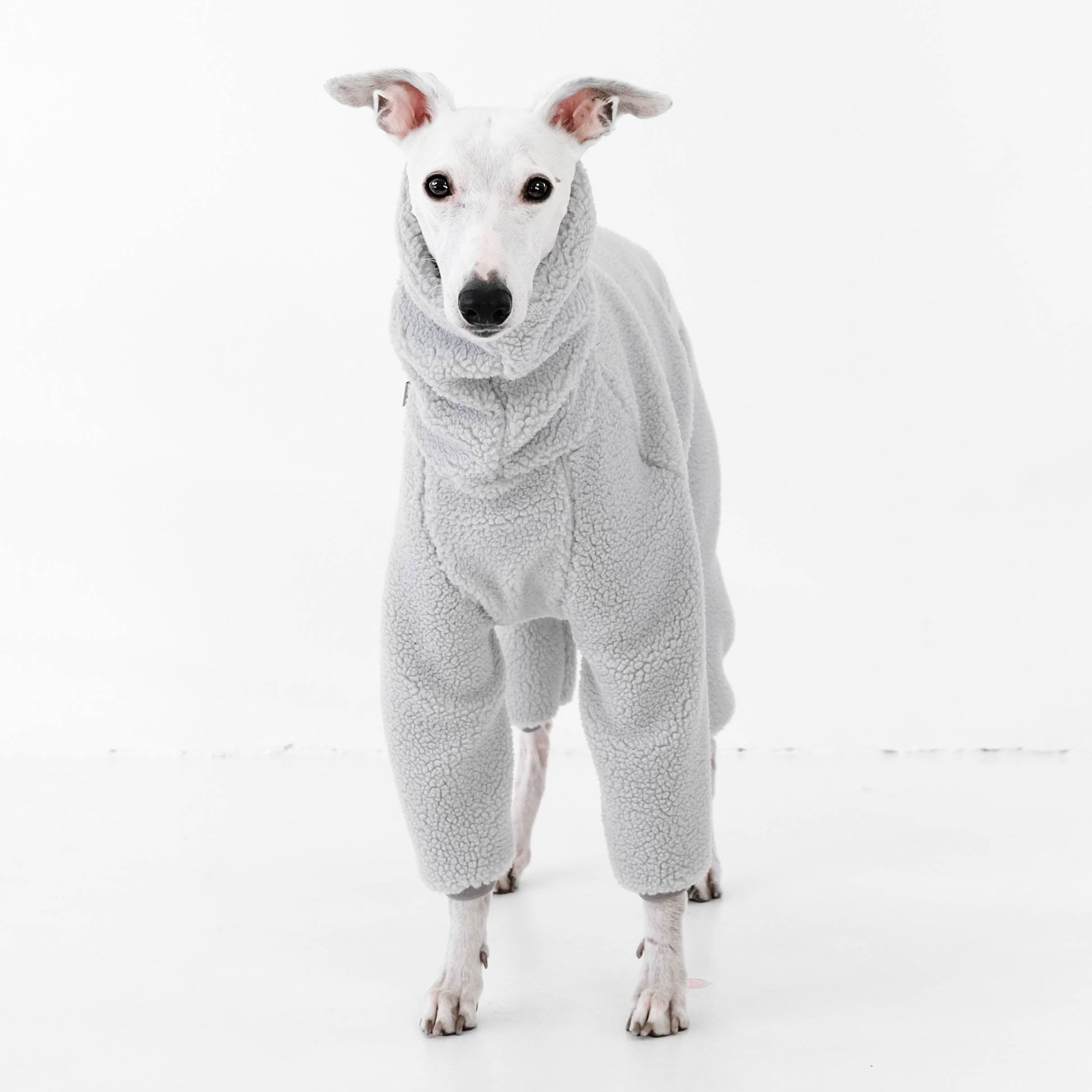 Whippet Jumper Teddy