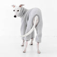 Load image into Gallery viewer, Whippet Silken Windsprite Kleidung
