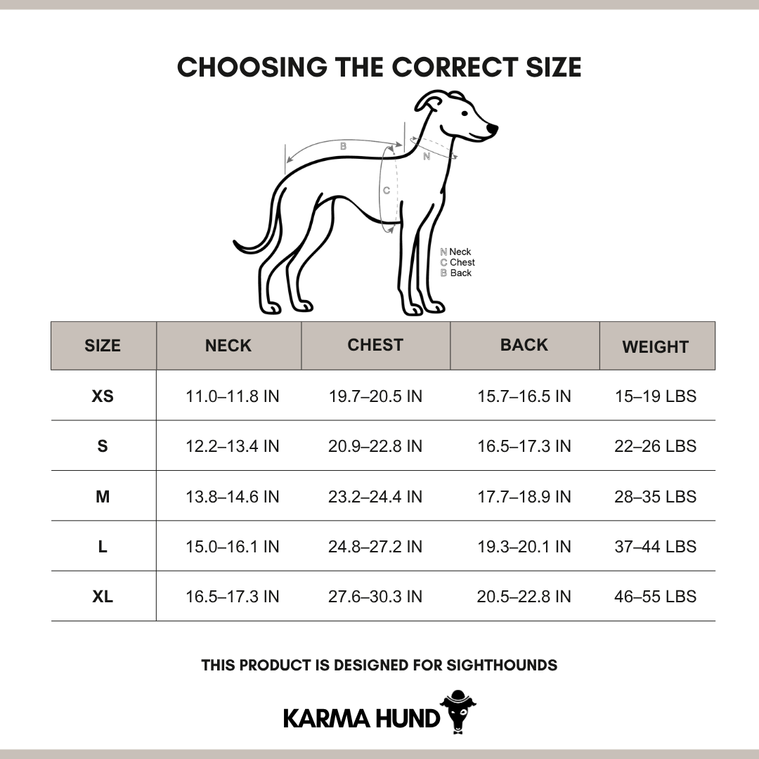 Whippet Clothing Size Chart 2025