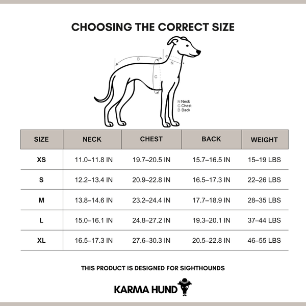 Whippet Clothing Size Chart 2025