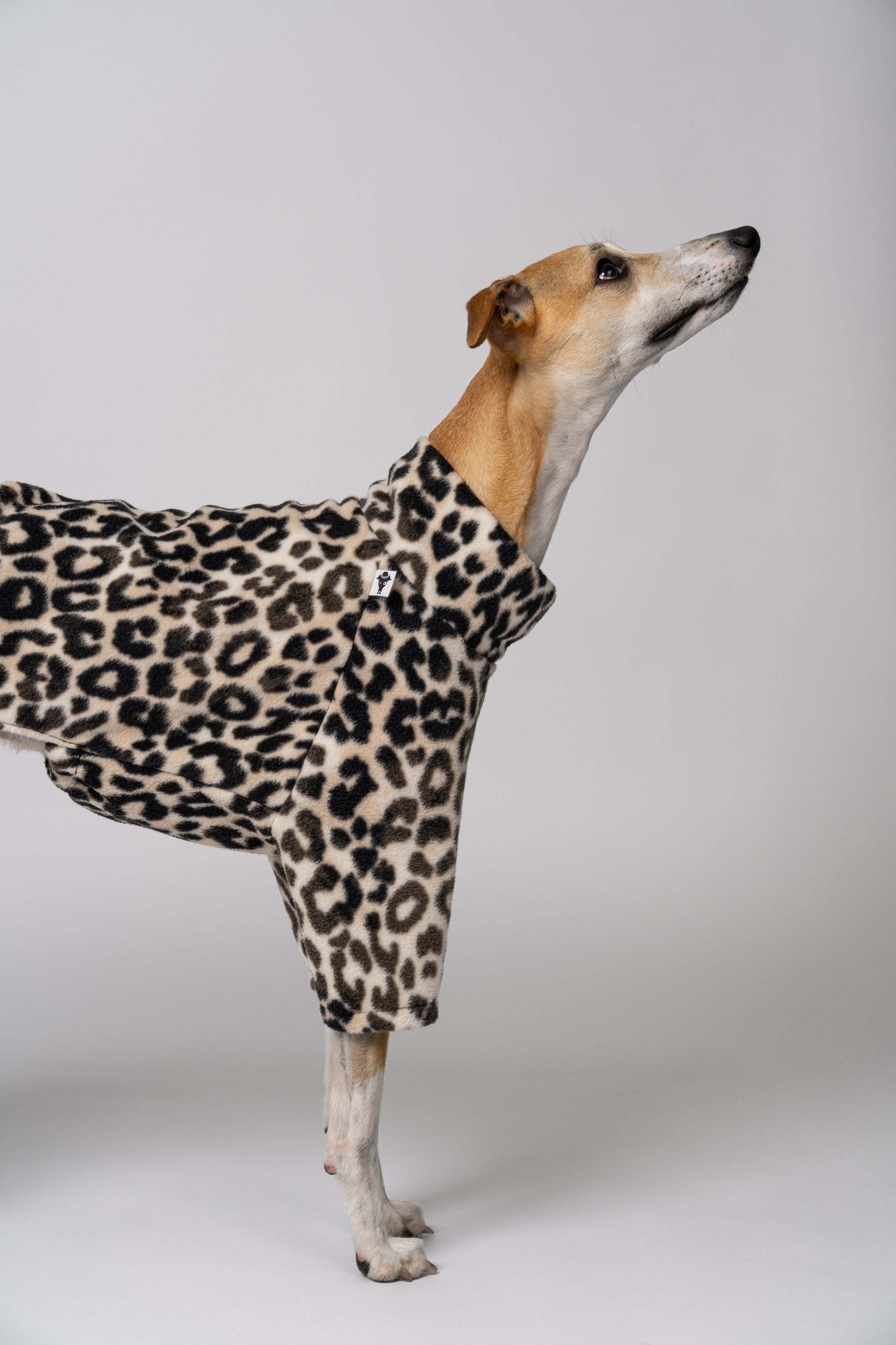 Whippet im Fleece Pullover mit Leopardenmuster – Kombination aus Funktion und Fashion