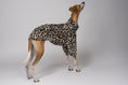Load image into Gallery viewer, Windhundkleidung mit Wildprint – Whippet zeigt Pullover in Leo-Design für stylische Hundebesitzer:innen
