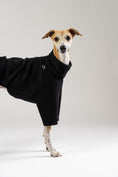 Load image into Gallery viewer, Modebewusster Whippet im schwarzen Fleece-Pullover von Karma Hund – sportlich, schlicht und gemütlich.
