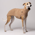 Load image into Gallery viewer, Whippet im Long Shirt in Camel – stilvolle Windhundmode und bequemer Passform

