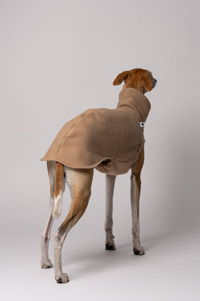 Whippet im Long Shirt in Camel – stilvolle Windhundmode und bequemer Passform
