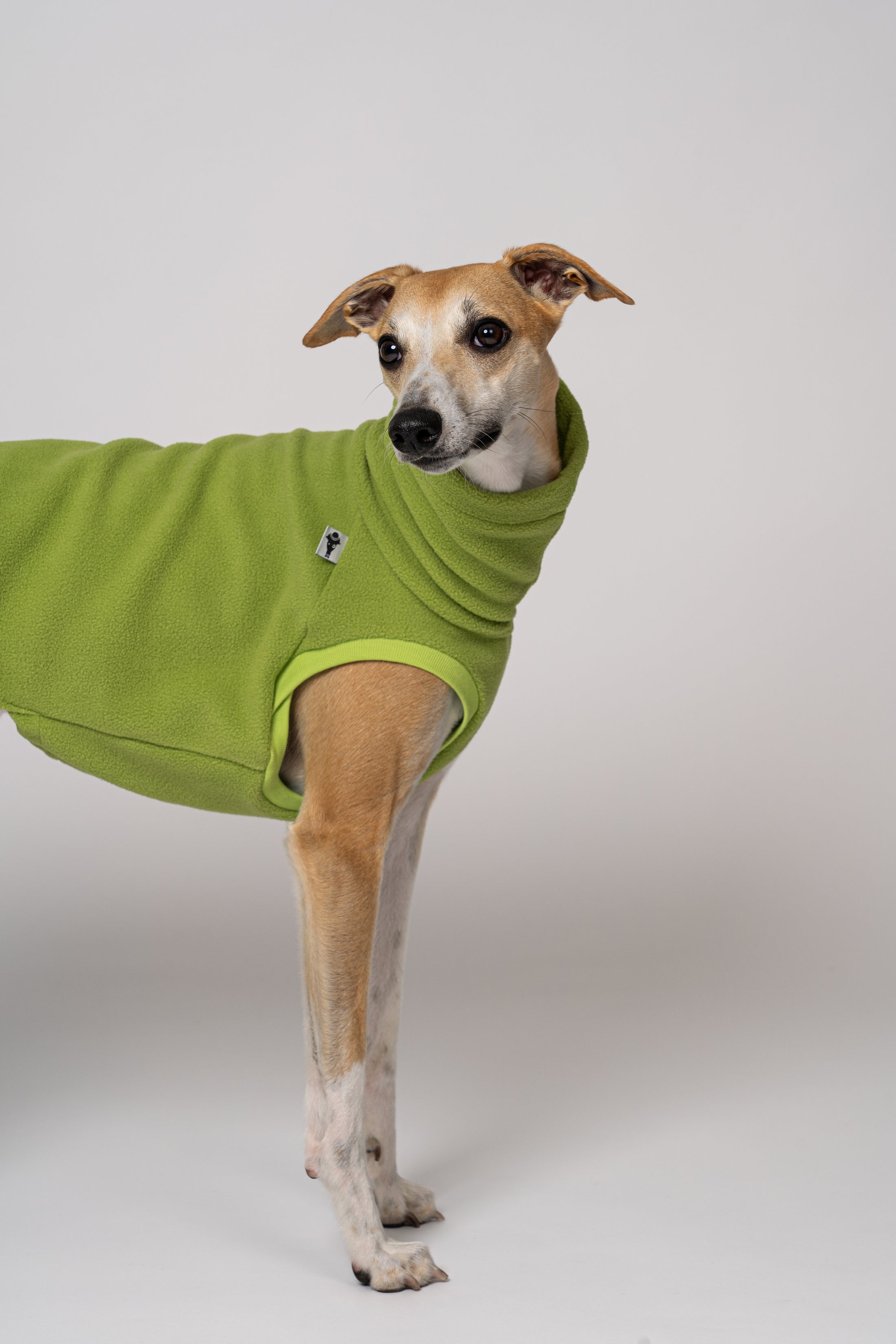 Hellgrünes Fleece-Shirt vor weißem Hintergrund – ideal für aktive Whippets