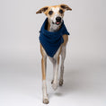 Load image into Gallery viewer, Whippet wearing fleece shirt made of fleece made in Berlin
