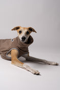 Load image into Gallery viewer, Nahaufnahme: Whippet trägt Long Shirt in Walnut – weiches Fleece, perfekt verarbeitet für schmale Körperformen

