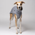 Load image into Gallery viewer, Whippet im Long Shirt in Light Grey – stilvolle Windhundmode in elegante Farben und bequemer Passform
