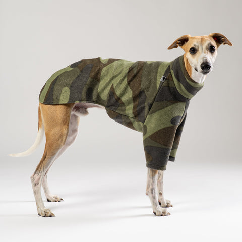 Modebewusster Whippet im Camouflage Karma Hund Fleece-Pullover – bequemer und robuster Look im Studio.