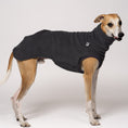 Load image into Gallery viewer, Whippet trägt Long Shirt in Graphite – sportlich-schlichtes Design für Windhunde
