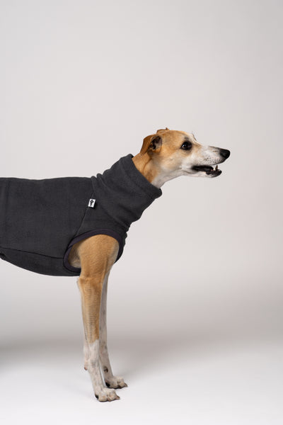 Fleecebekleidung für Whippets in Graphite – perfekte Passform für tiefe Brust und lange Rücken