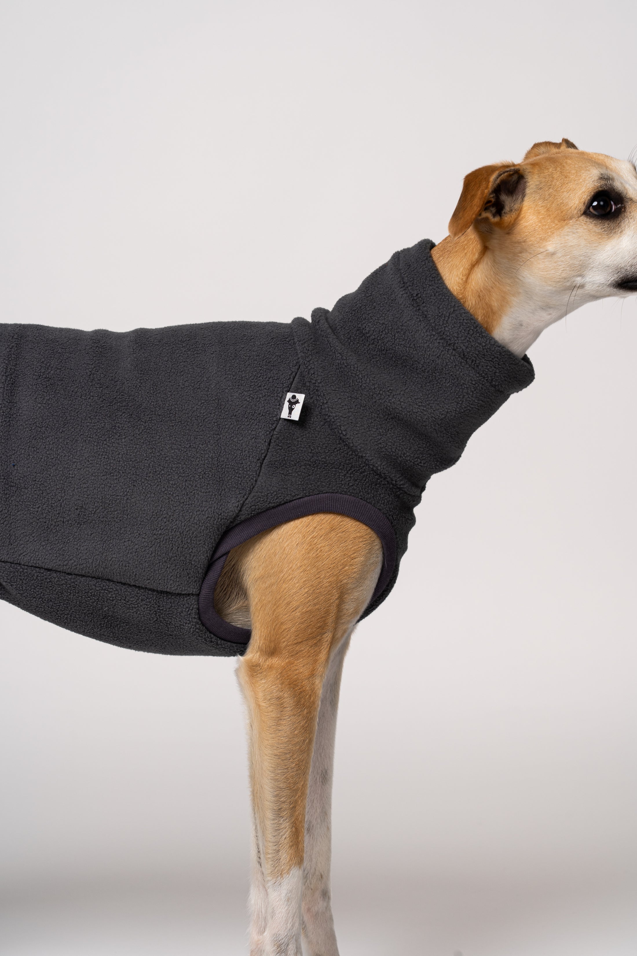 Whippetmode in Anthrazit – Long Shirt in Graphite mit ergonomischem Schnitt